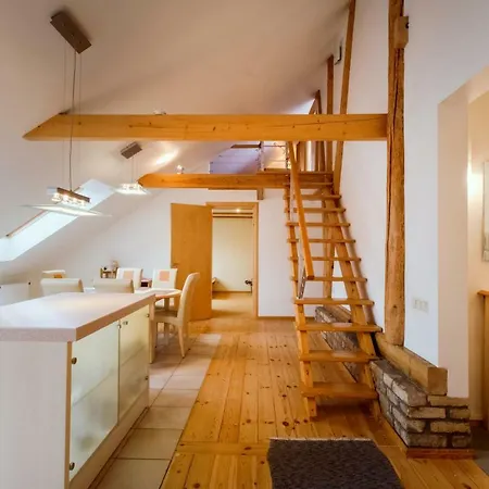 Old Kaleju Loft Apartment *